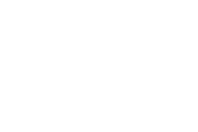 Developer