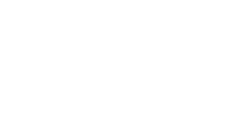 Developer