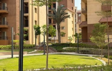 Apartment in mamsha avenue al maqsad with installment over 10 years
