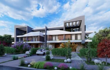 Twin House in midtown sky