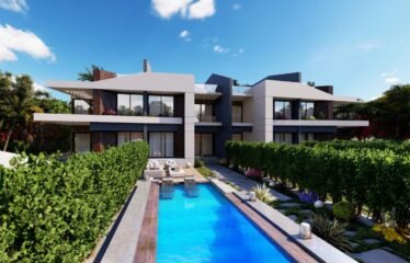 Twin House in midtown sky