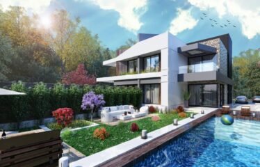 Twin House in midtown sky